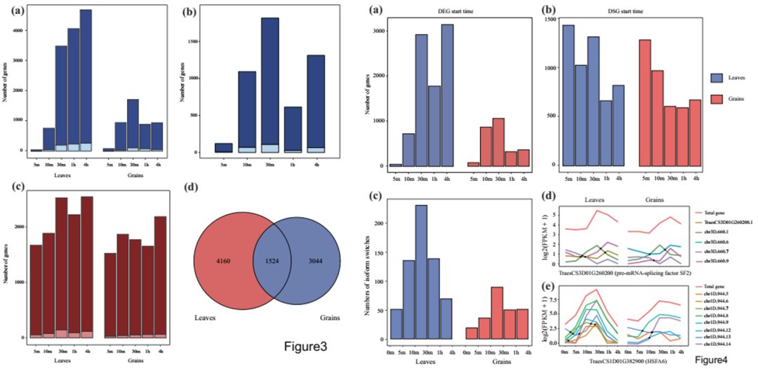 figure4